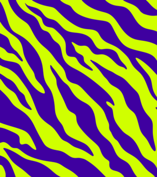 Zebra Neon