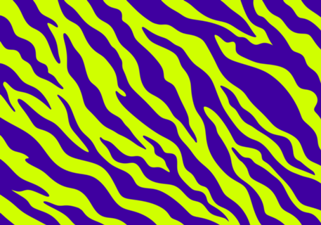 Zebra Neon