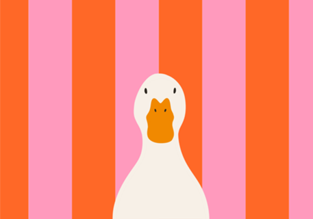 What the duck