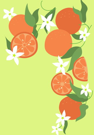 Laranjeira em flor