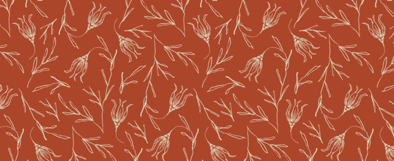 Tulipa | studio maré ✺ 2