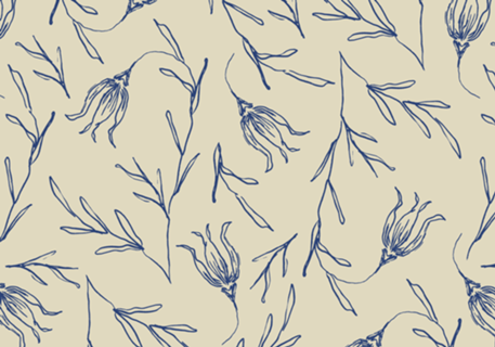 Tulipa | studio maré ✺ 5