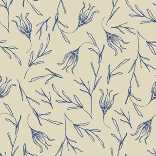 Tulipa | studio maré ✺ 5