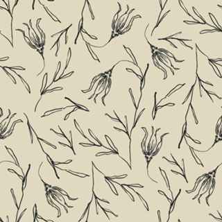 Tulipa | studio maré ✺ 8