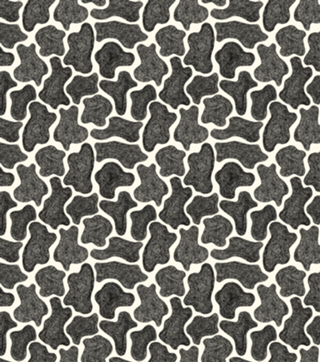 Animal Print Vaca Rabiscada