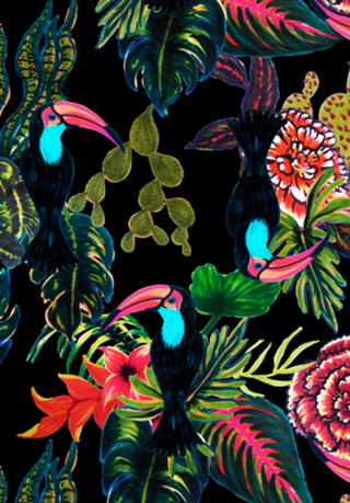 NATUREZA DOS TUCANOS BLACK