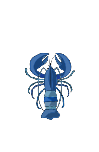 Lagosta Azul
