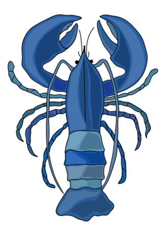 Lagosta Azul