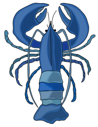 Lagosta Azul
