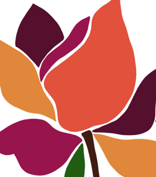 Flor colorida