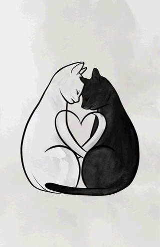 Dois Gatos