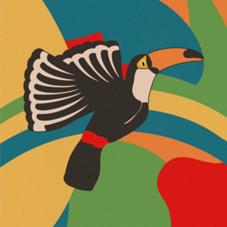 Tucano