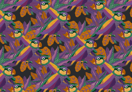 Arara Imperial