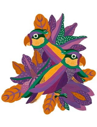 Arara Imperial