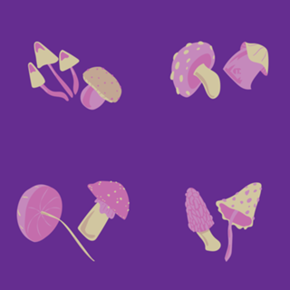 Cogumelos