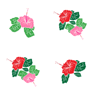Hibisco