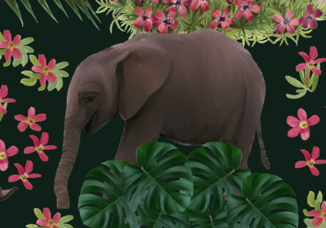 Selva