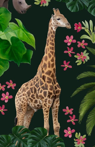 Selva