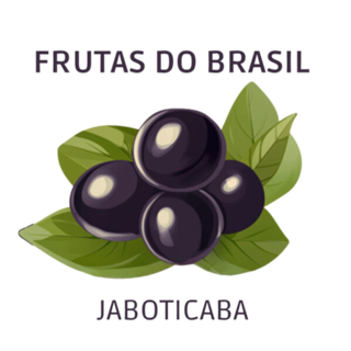 Jaboticaba