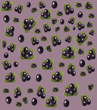 Jaboticaba