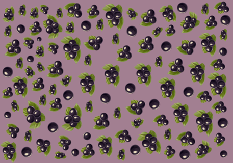 Jaboticaba