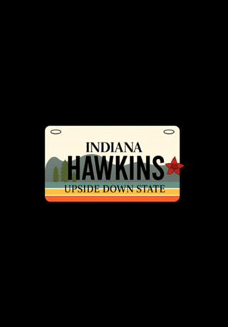 HAWKINS UPSIDE DOWN STATE