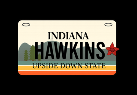 HAWKINS UPSIDE DOWN STATE