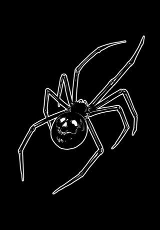 Spider Skull