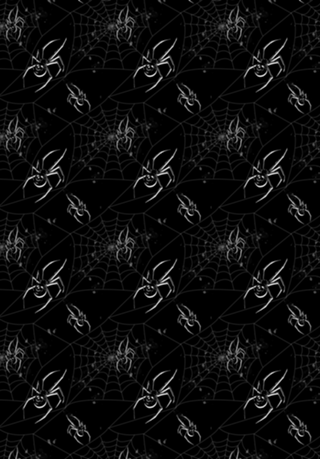Spider Skull