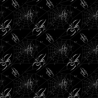 Spider Skull