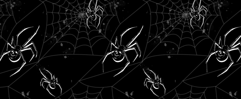 Spider Skull