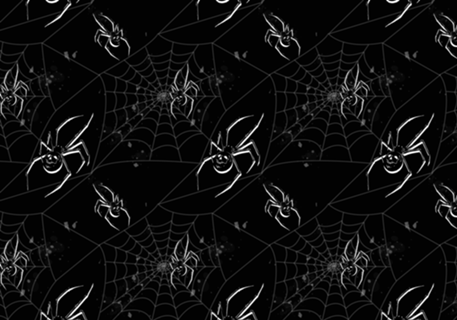 Spider Skull