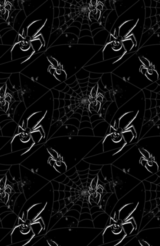 Spider Skull