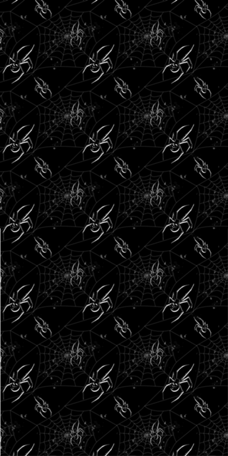 Spider Skull