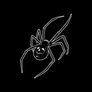 Spider Skull