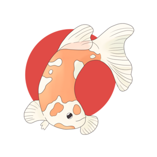 Carpa Nishikigoi Kohaku - Koi