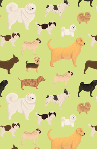 Cães