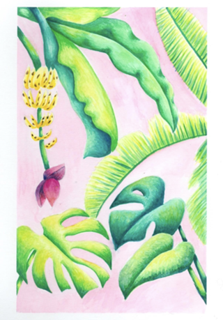 Floresta tropical