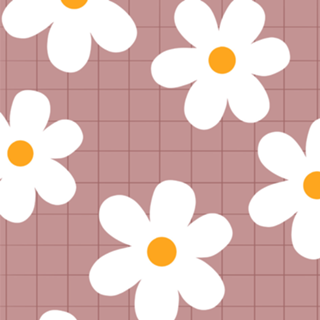 Margaridas
