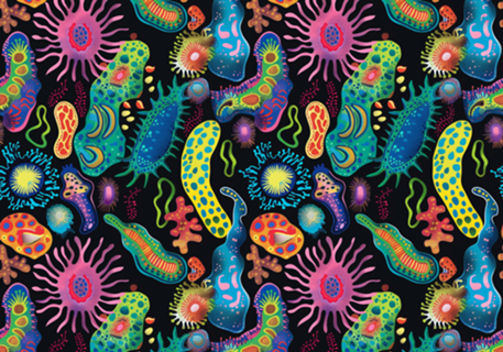 Flora microscópica - 5% OFF cupom Y5Z6M2