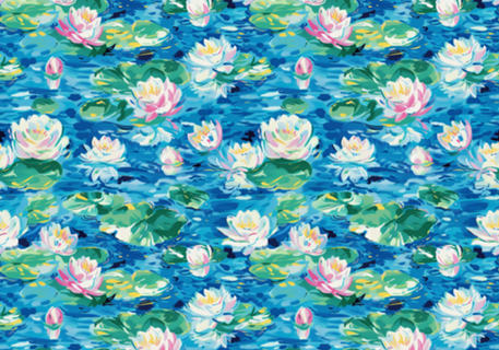 Lago de Monet - 5% OFF cupom Y5Z6M2