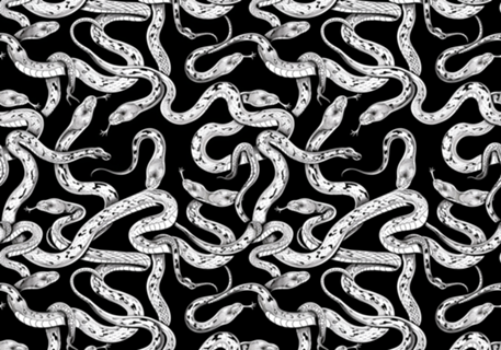 Serpentes monocromáticas - 5% OFF cupom Y5Z6M2