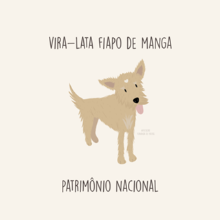 Fiapo de Manga