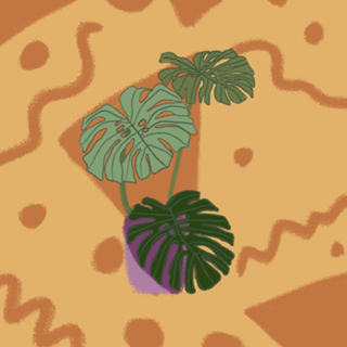 Monstera fun