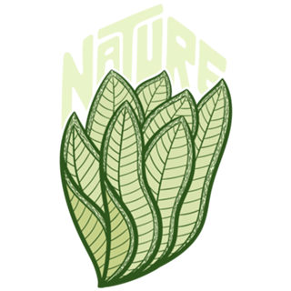 Nature Folhas