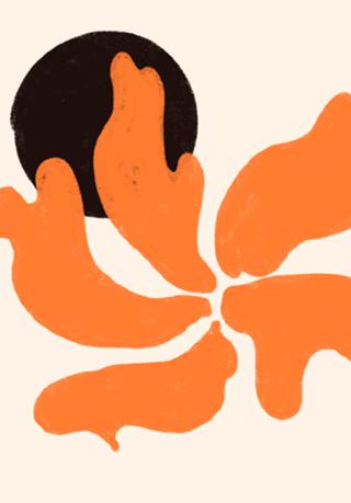 Pétalas ao Sol Matisse