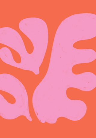 Flor de Coral Rosa Matisse
