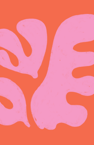 Flor de Coral Rosa Matisse