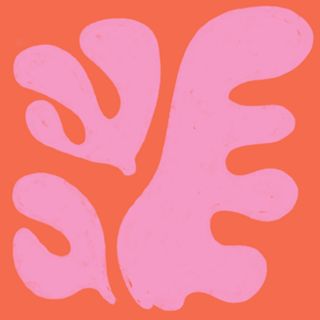 Flor de Coral Rosa Matisse