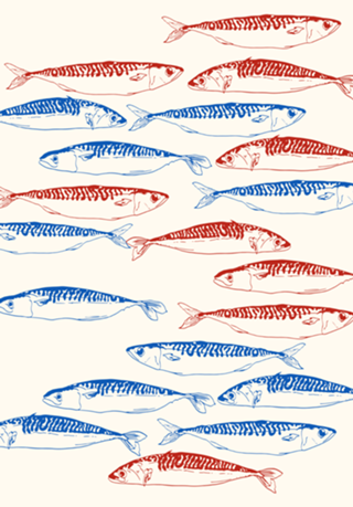 Padrão de Sardinhas Azul e Vermelho